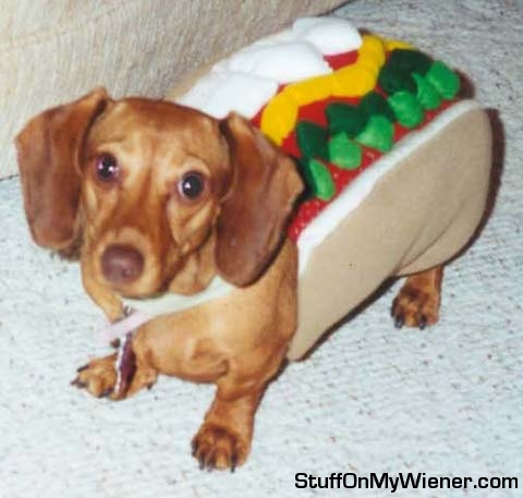 [Image: rory-hotdog.jpg]