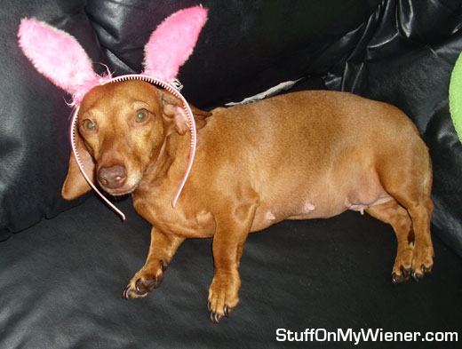 Alice as the Easter Bunny