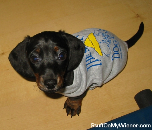 Barkley gives “the look”.