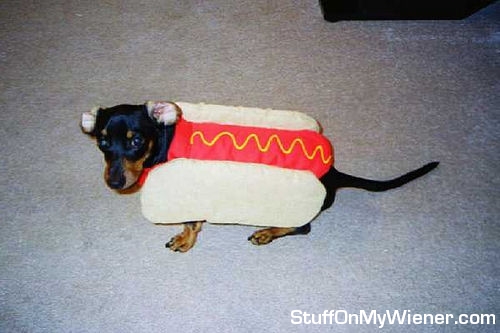Berman as a hot dog.