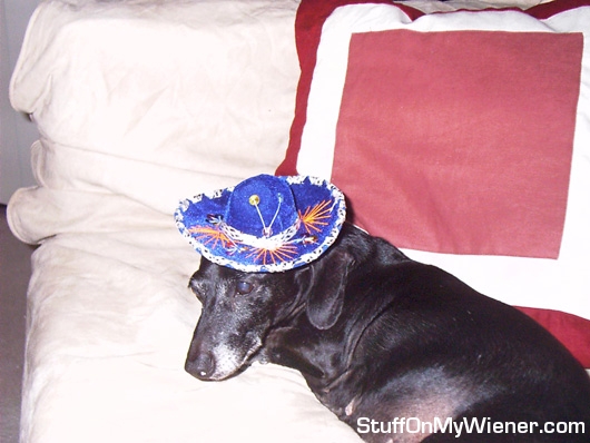 Cinco De Mayo Cookie Style