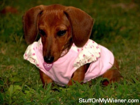 Coco models her latest line.