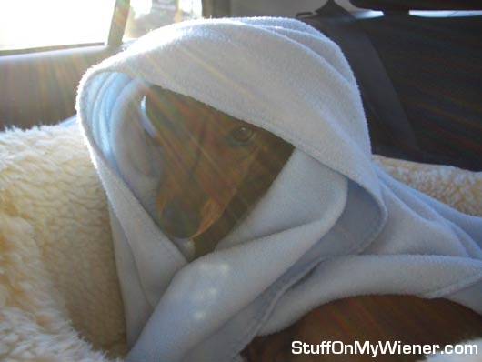 Penny as Mother Teresa