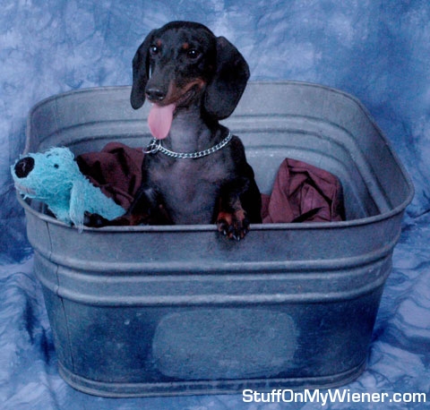 Pita and Bobo in the tub