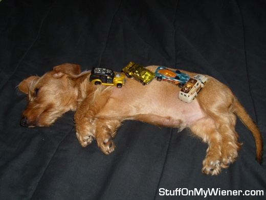 Porkchop vs. Hot Wheels