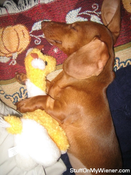 Stella with her buddy the squeaky giraffe.