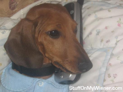 Toby answers the hotline