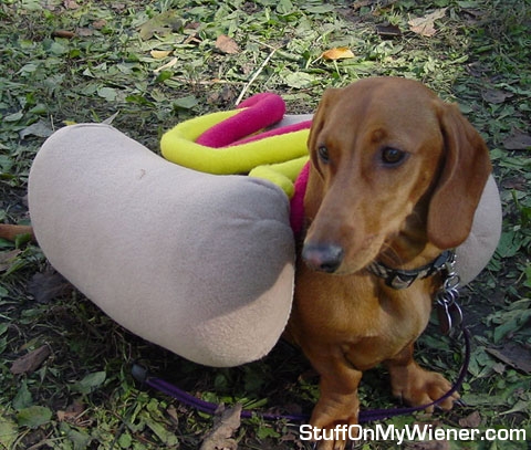 Annabel Lee in hot dog costume