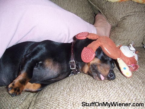Bella with a monkey on her head.