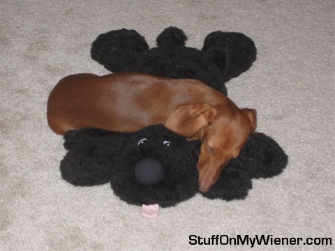 Stella and her mama dog