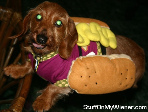 Auggie hot dog.