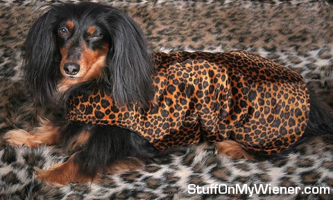 Hallie winking at the camera in cheetah outfit.