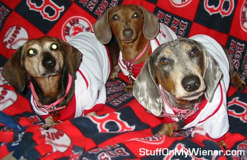 Jen-Jen, Camelot, and Carlee Red Sox fans.