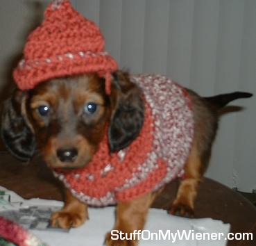 Kobey in knit hat and sweater.