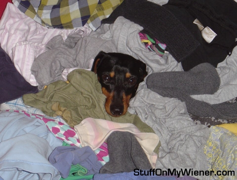Leroy and the clean laundry.