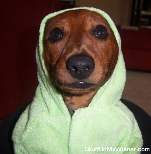 Stretch in his frog hoodie.
