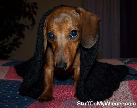 Teenie with a banket.