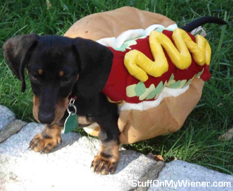Tito hot dog.