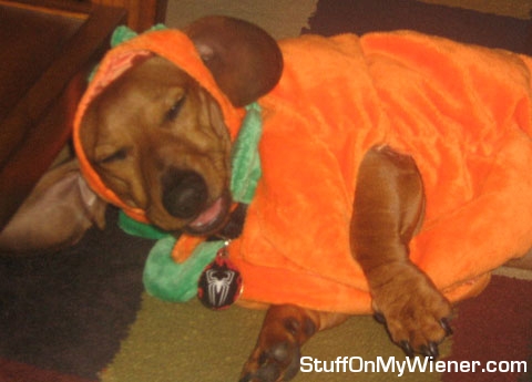 Toby Mac as the Great Pumpkin.