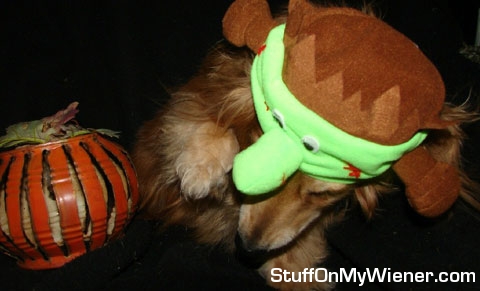 Tommy as Frankenweenie.