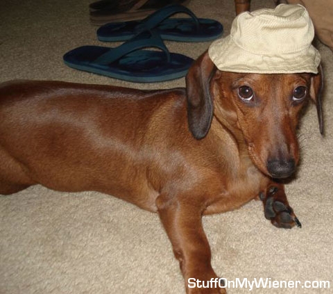 Bailey in fishing cap.
