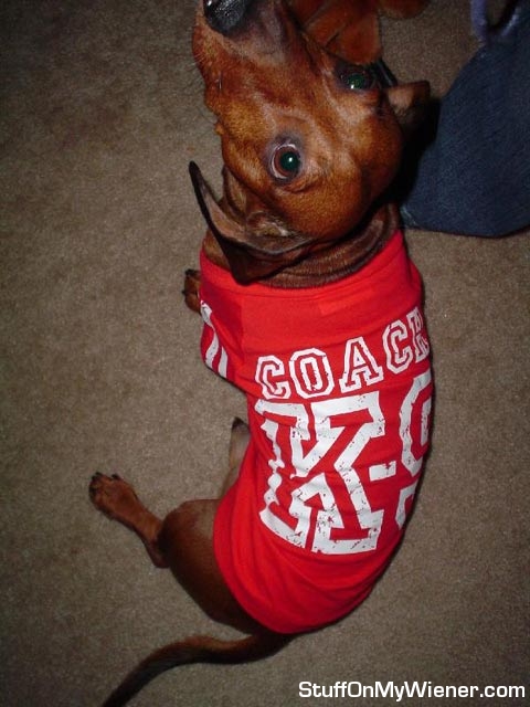 Buddy Lee - Coach K9