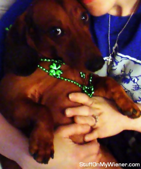 Buddy with 4 leaf clover necklace.