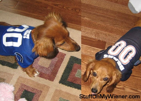 Chester and Maddie in jerseys.