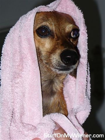 Peanut takes a bath.