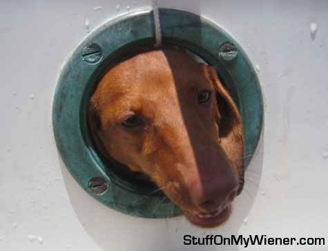 Stella escapes from a port hole.