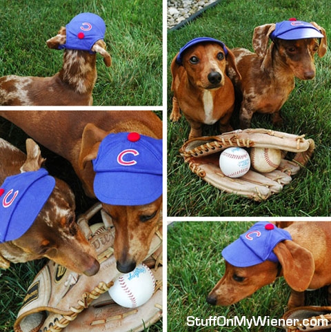 Ami and Samantha, Cubs fans.