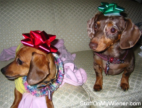 Bubba and Samantha with bows and antlers.