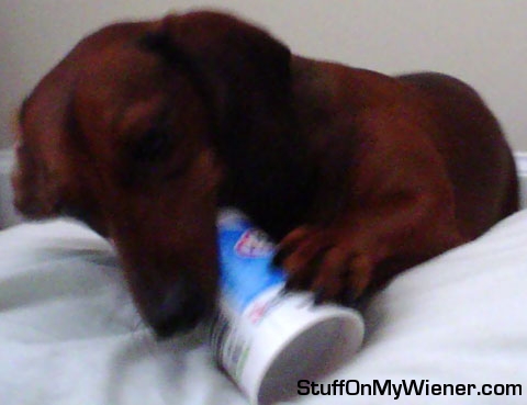 Buddy Lee and a yogurt cup.