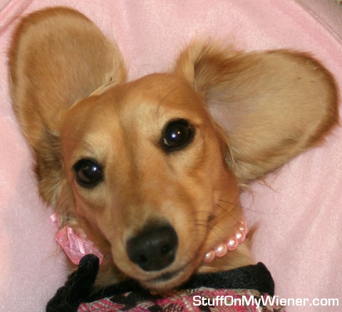 Cairo in pink top and necklace.