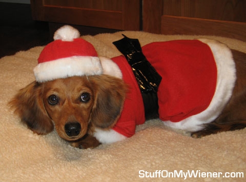 Maddie test fits her Sanata suit.