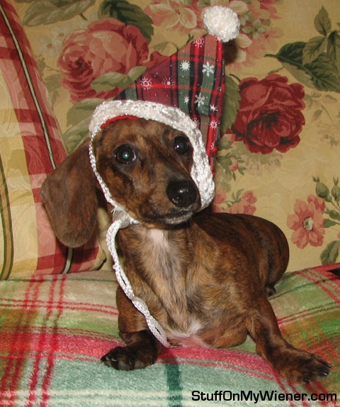 Miracle in a Santa hat.