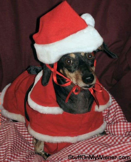Mistylee in Santa suit.