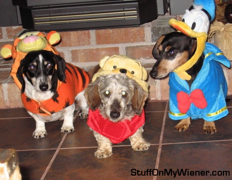 Oskar, Xena & Schatzi as Tigger, Winnie the Pooh & Donald Duck.