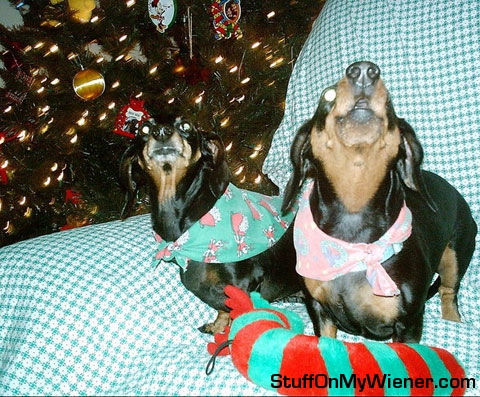 Rudy and Brandy singing Jingle Bells.