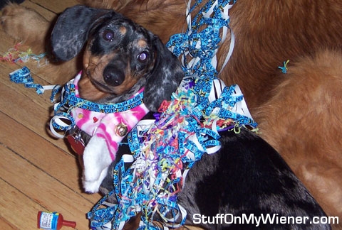 Sadie with party favor string.