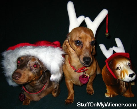 Bubba and Samantha with bows and antlers.