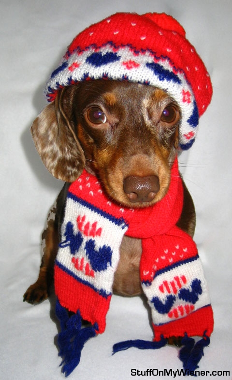 Samantha in cap and scarf.