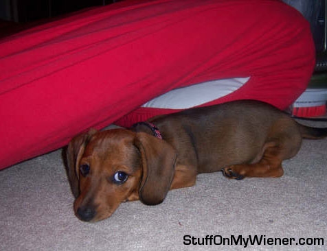 Stretch with the bed on top.