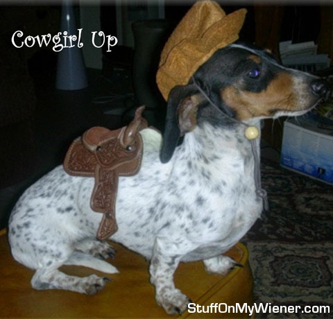 Beanie in a cowgirl outfit.