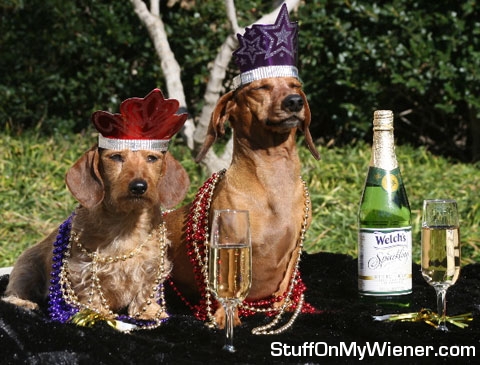 Ilsa and Chloe new year.