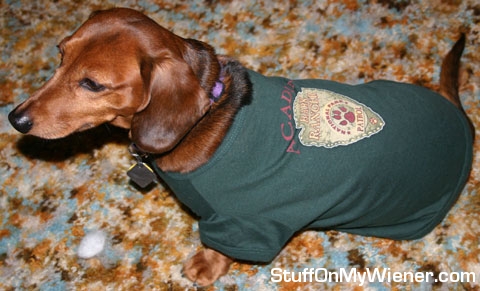 Kebo in Bark Ranger t-shirt.