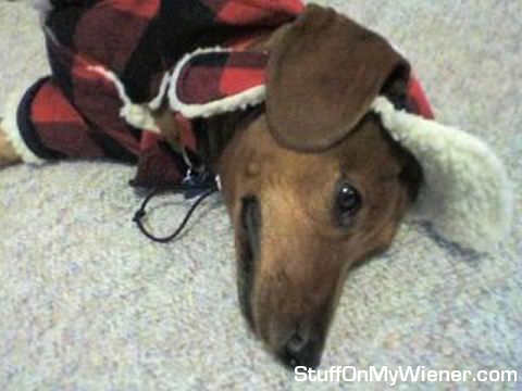 Mikey as a lumberjack.