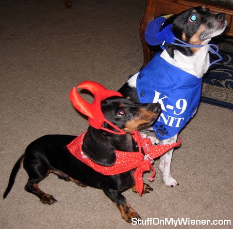 Prince in a devil costume.