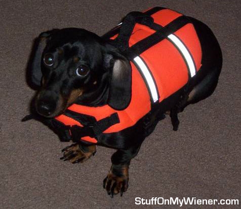 Skyler in a life jacket.