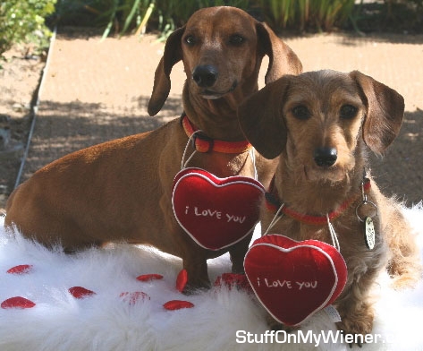 Chloe Marie and Ilsa play Cupid.
